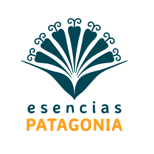 patagonia_logo