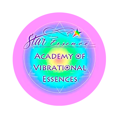 star_academy_logo