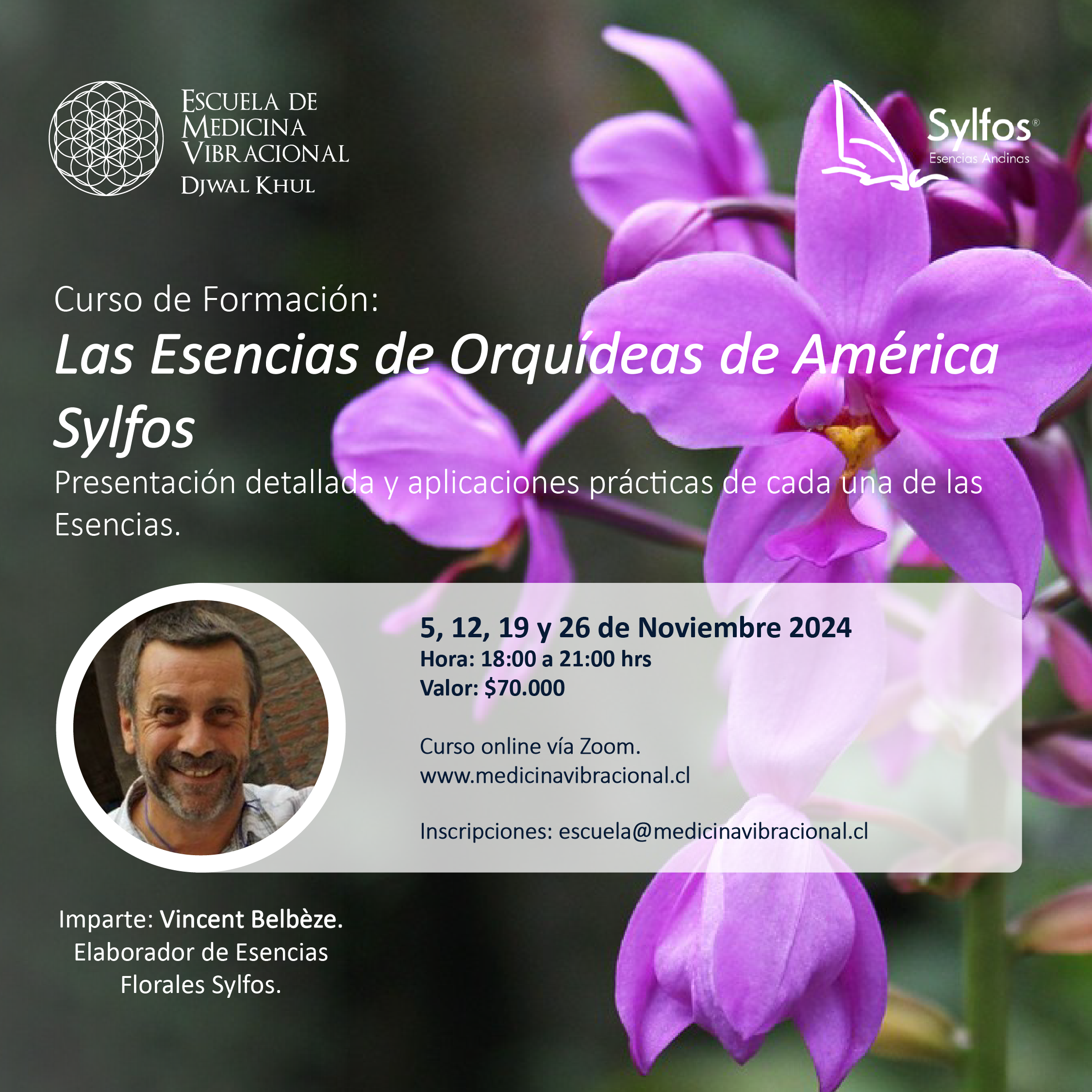 Orquídeas de América Sylfos