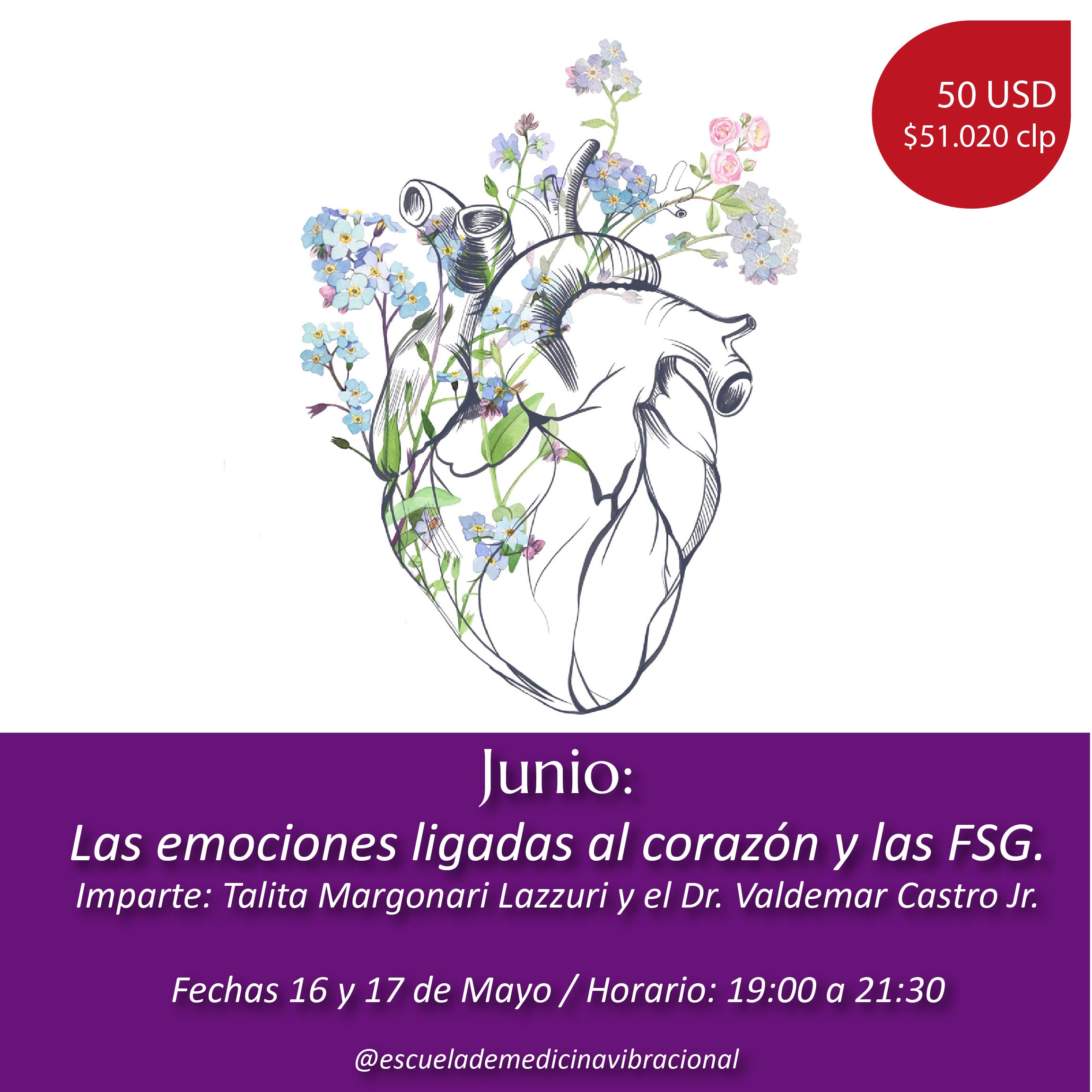LAS EMOCIONES LIGADAS AL CORAZÓN Y LAS FSG – ONLINE