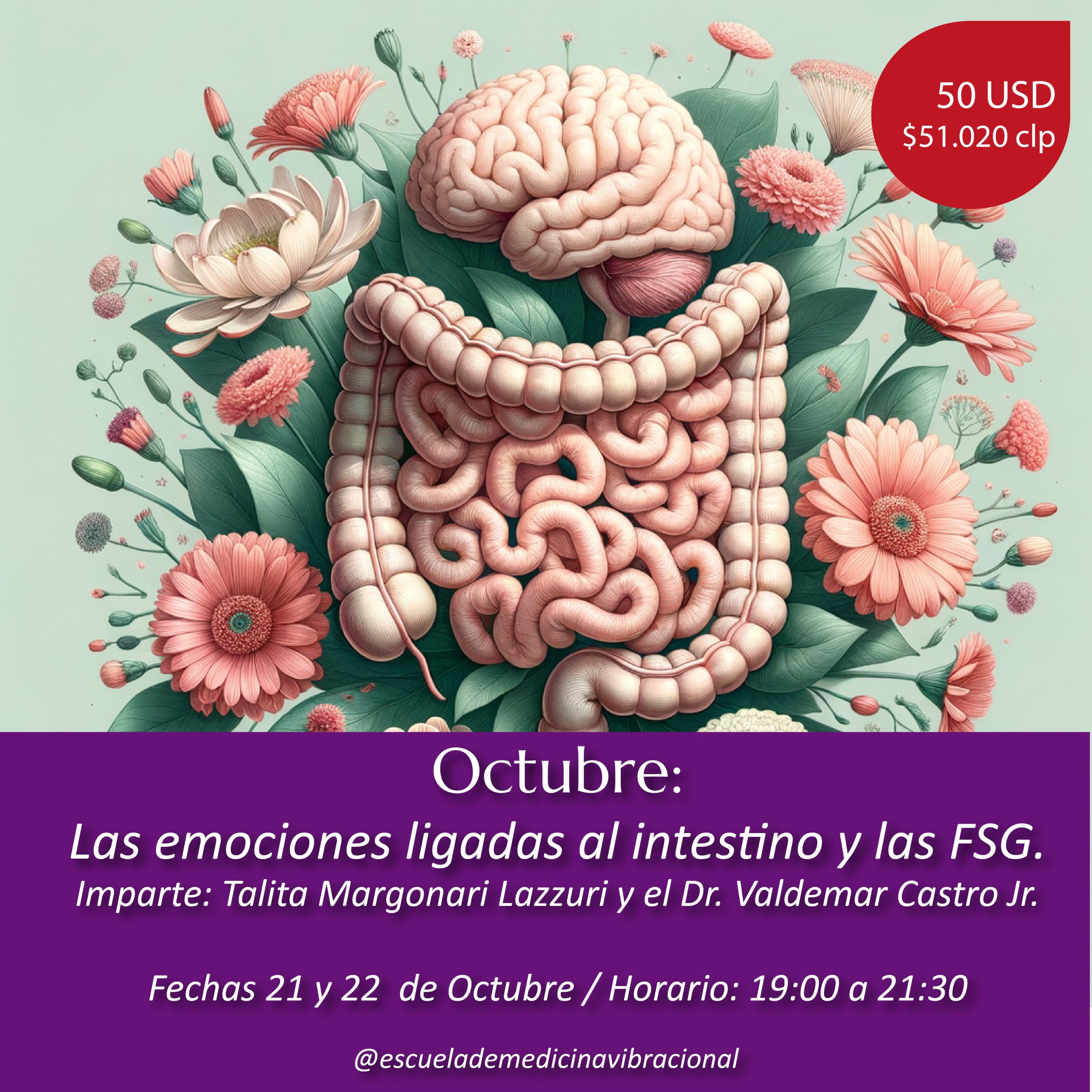 LAS EMOCIONES LIGADAS AL INTESTINO Y LAS FSG – ONLINE