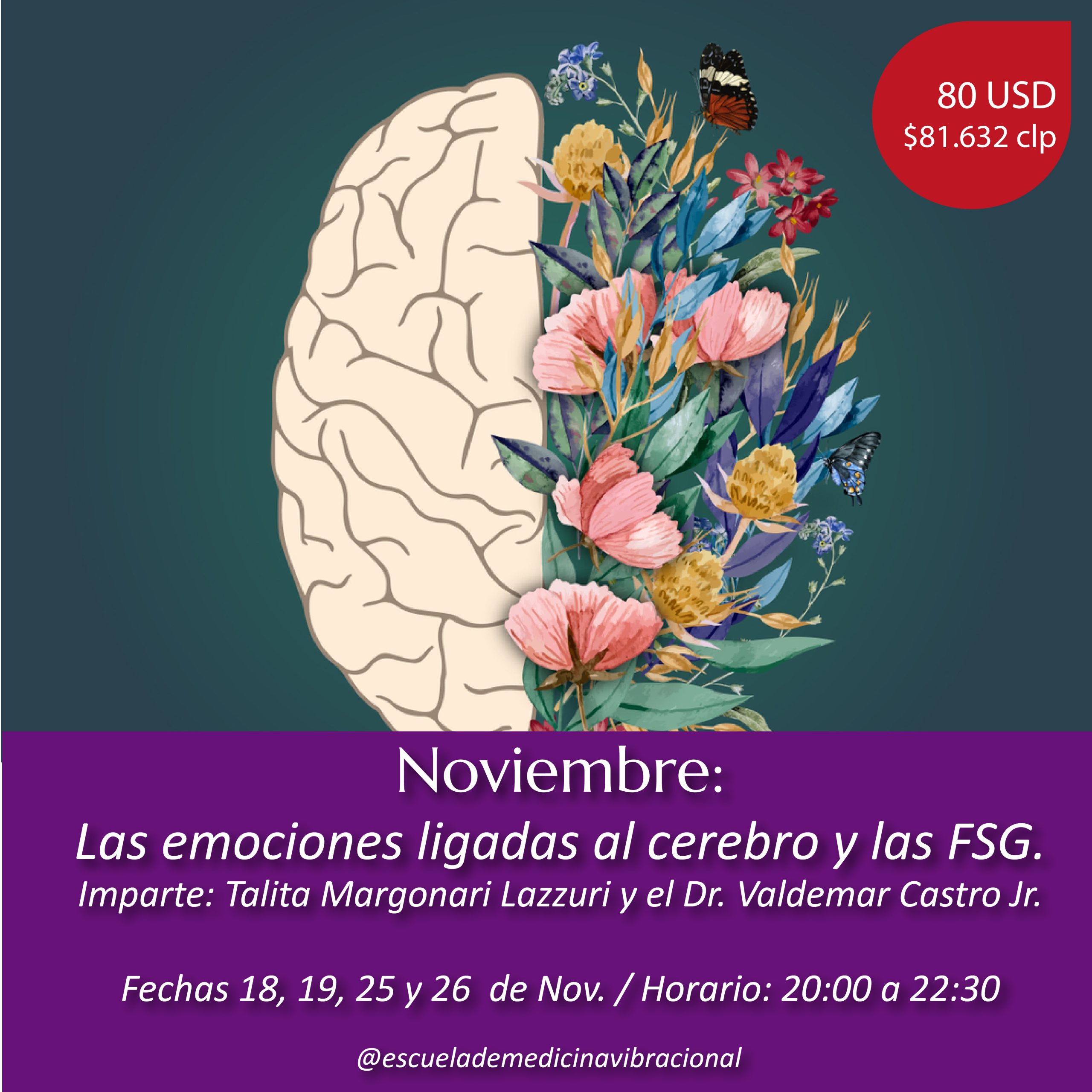 LAS EMOCIONES LIGADAS AL CEREBRO Y LAS FSG – ONLINE