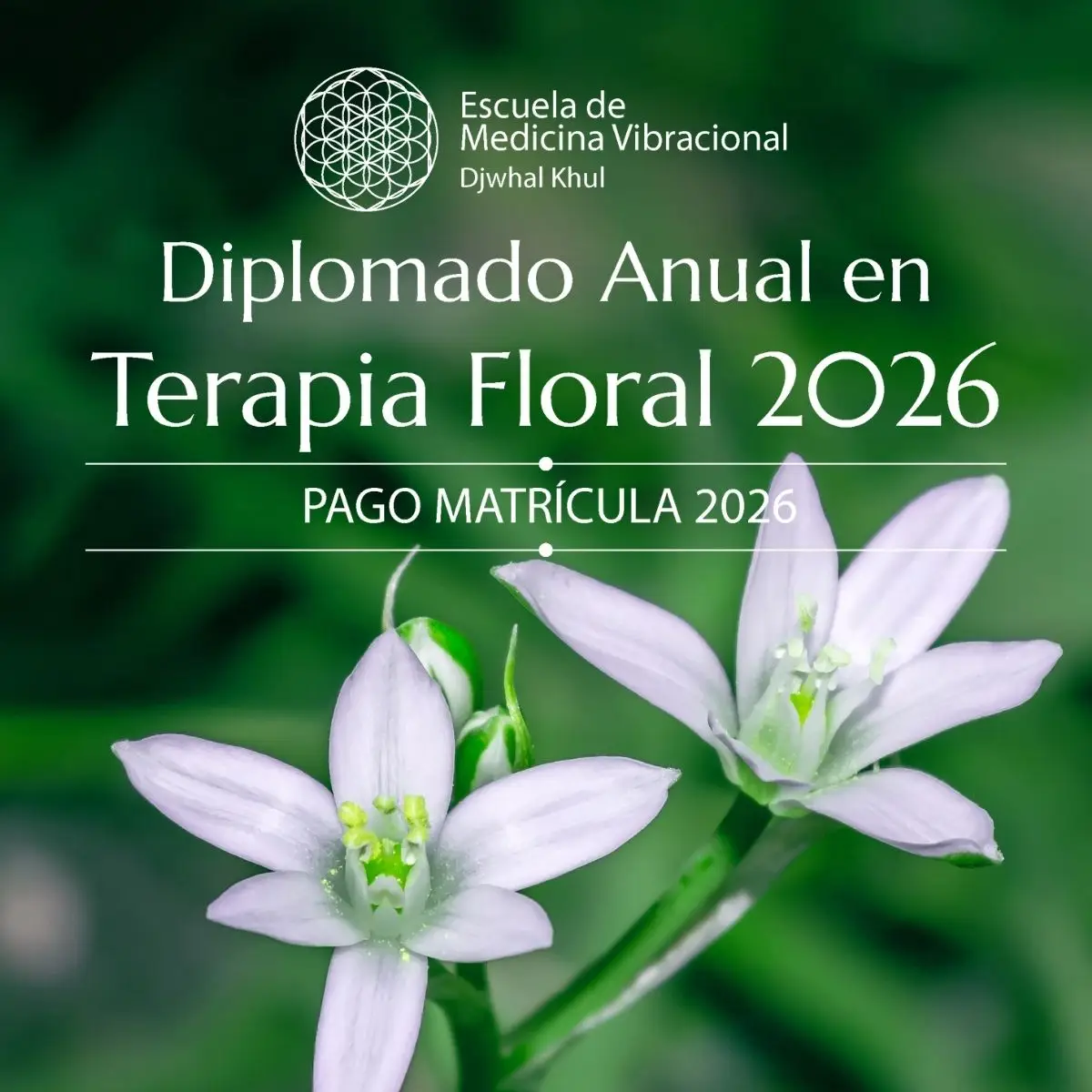 Diplomado Anual en Terapia Floral Bac (1)